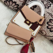 Aldo Elegant Hand bags